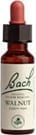 Walnut Flower Essence by Bach Flower Remedies