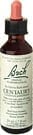 Centaury Flower Essence by Bach Flower Remedies