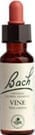 Vine Flower Essence by Bach Flower Remedies