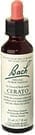 Cerato Flower Essence by Bach Flower Remedies
