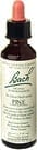 Pine Flower Essence by Bach Flower Remedies