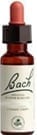Water Violet Flower Essence by Bach Flower Remedies