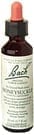 Honeysuckle Flower Essence by Bach Flower Remedies